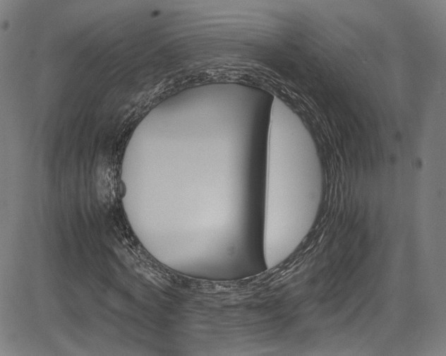 X0000085250772200703090947