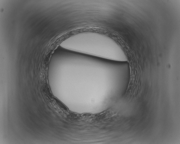 X0000085250773200703090947