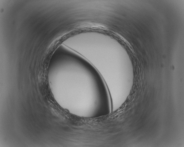 X0000085250775200703090946