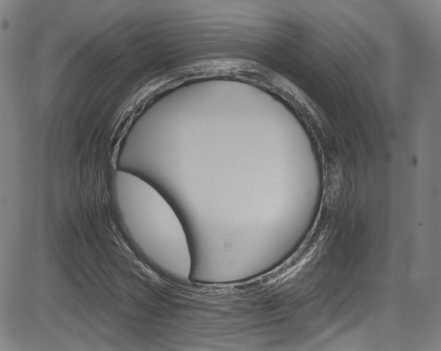 X0000085250778200703090946