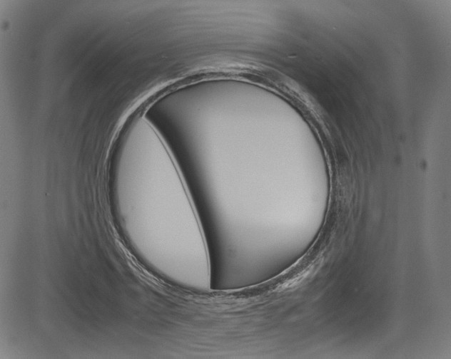 X0000085250779200703090946