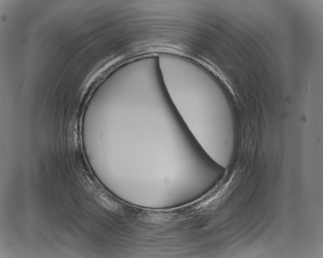 X0000085250782200703090946