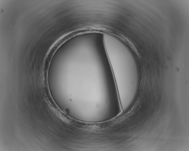 X0000085250784200703090946