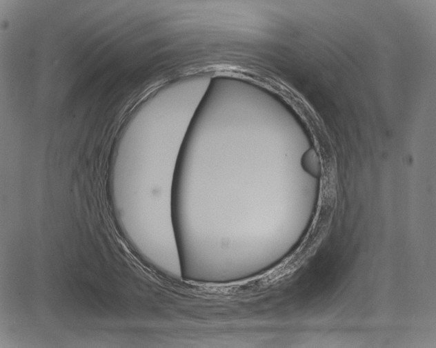 X0000085250785200703090946