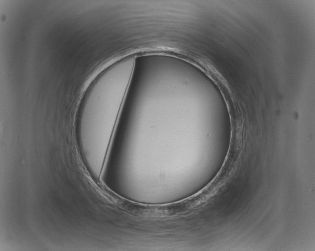 X0000085250789200703090946