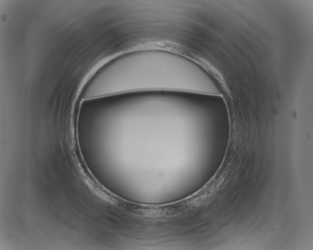 X0000085250792200703090946