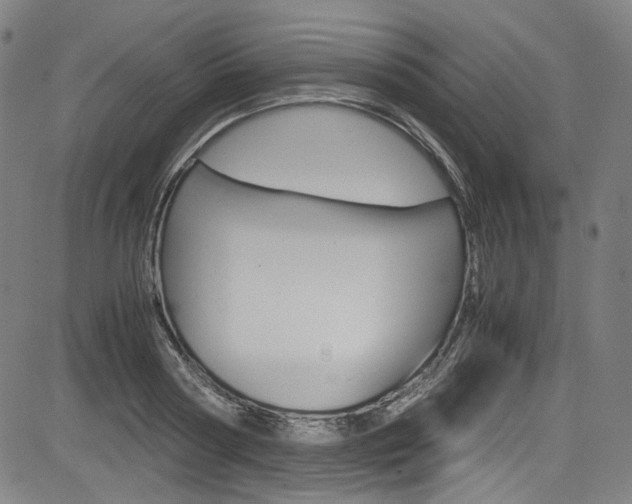 X0000085250794200703090946