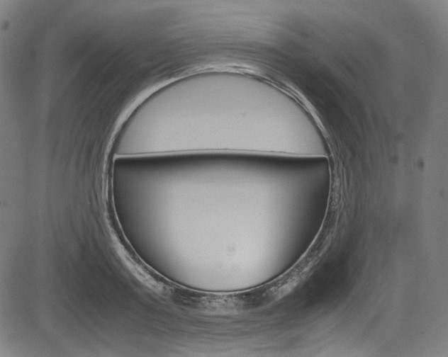 X0000085250795200703090946