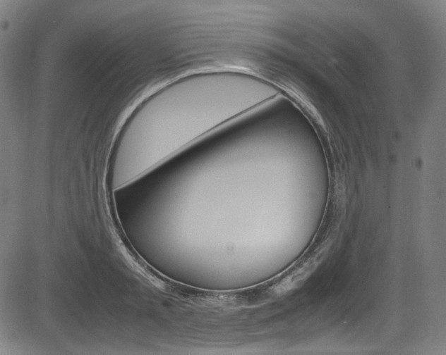 X0000085250797200703090946