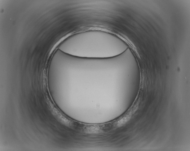 X0000085250798200703090946