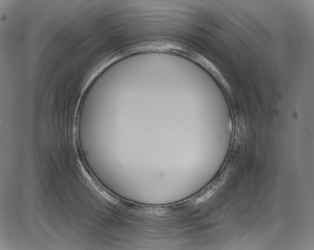 X0000085250802200703090946