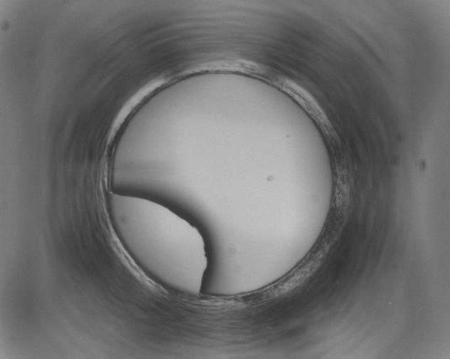 X0000085250804200703090946