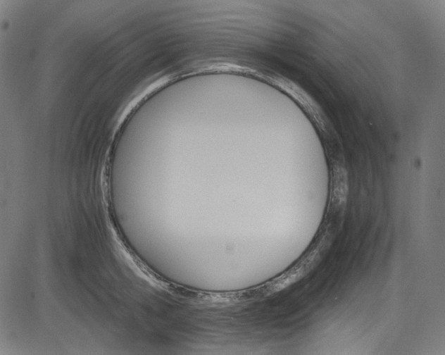 X0000085250806200703090946