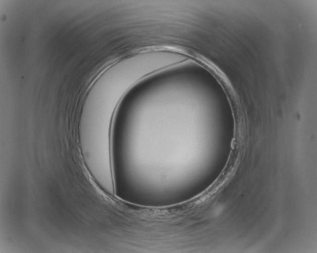 X0000085250809200703090946