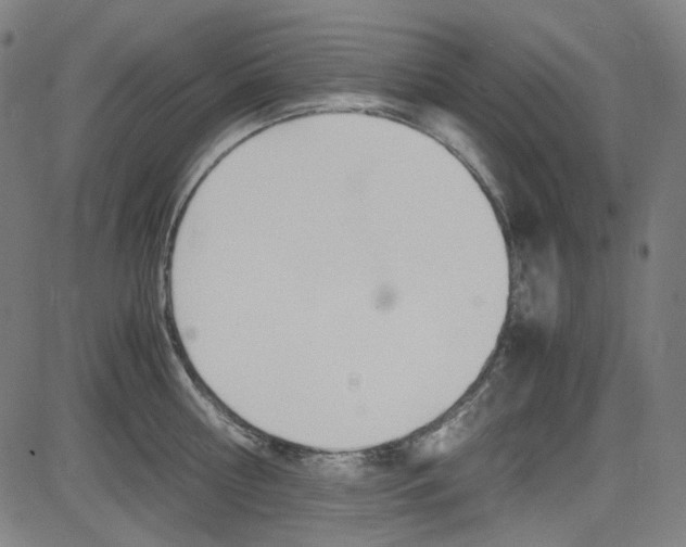 X0000085250810200703090946