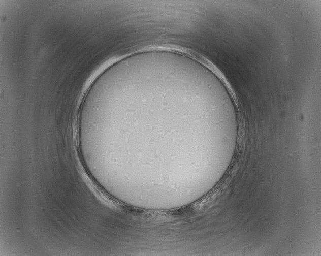 X0000085250811200703090946