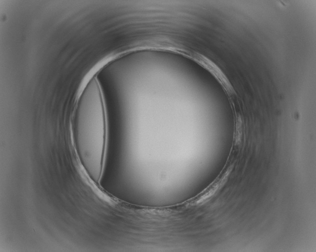 X0000085250812200703090946