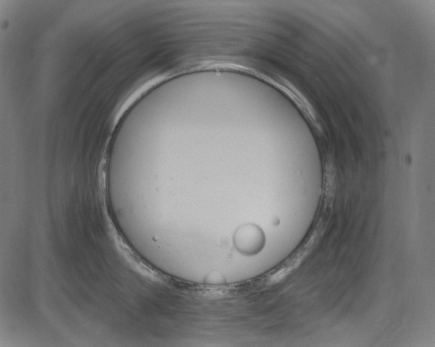 X0000085250814200703090946