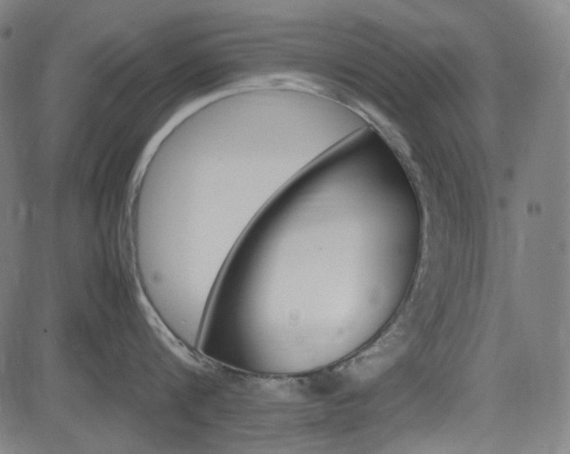 X0000085250816200703090946