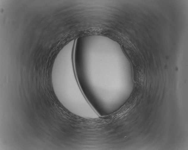 X0000085250818200703090945