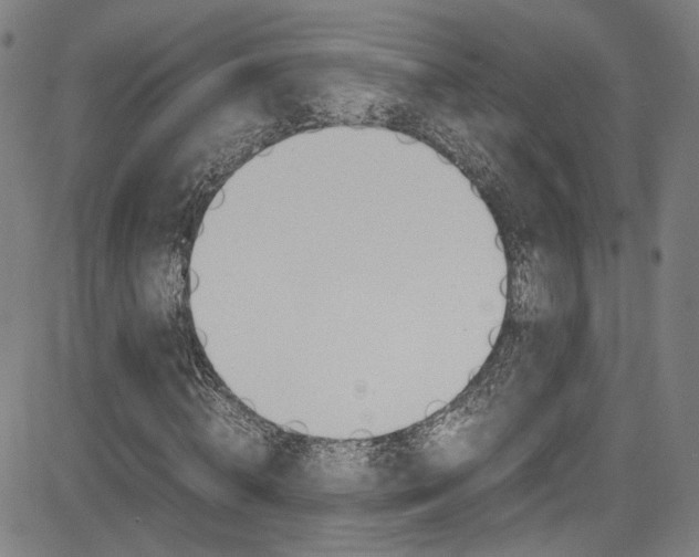 X0000085250820200703090945