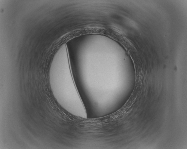 X0000085250821200703090945
