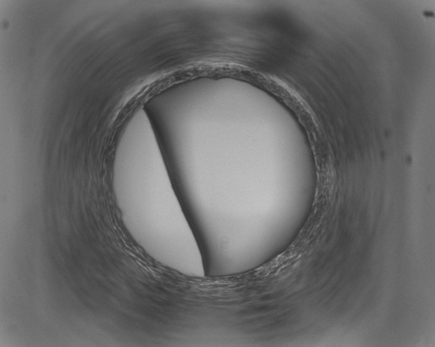 X0000085250823200703090945