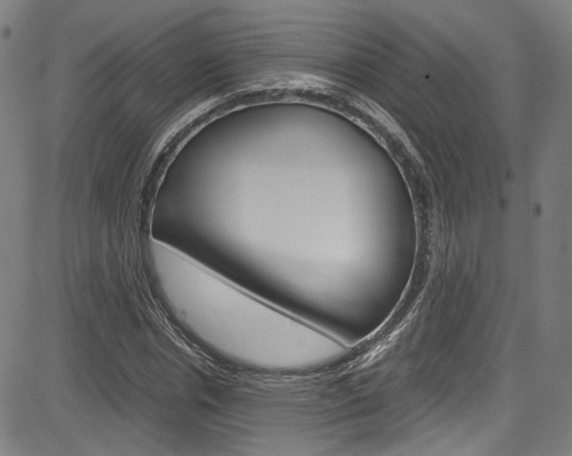 X0000085250826200703090945
