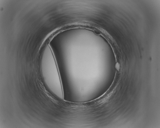X0000085250830200703090945