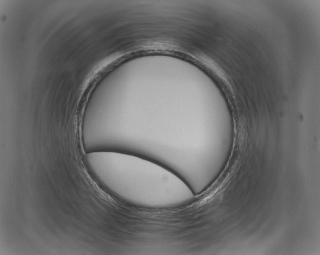 X0000085250831200703090945
