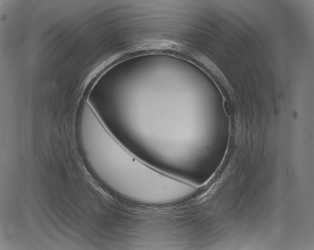 X0000085250834200703090945