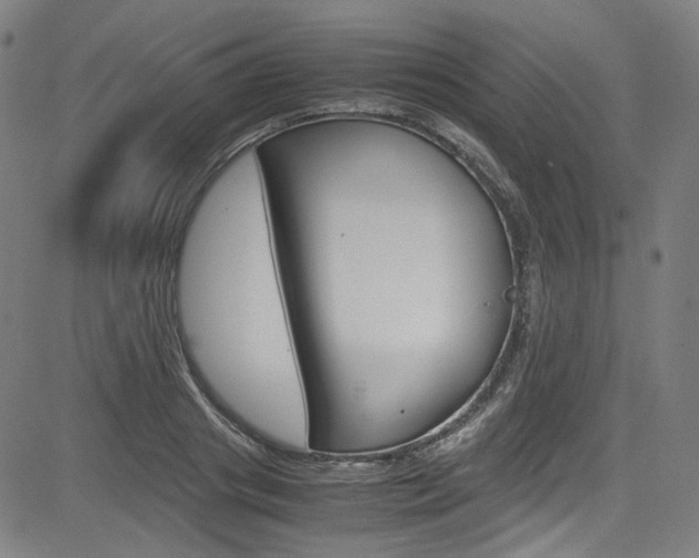 X0000085250841200703090945