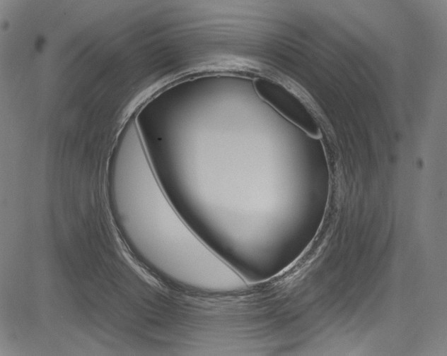 X0000085250842200703090945