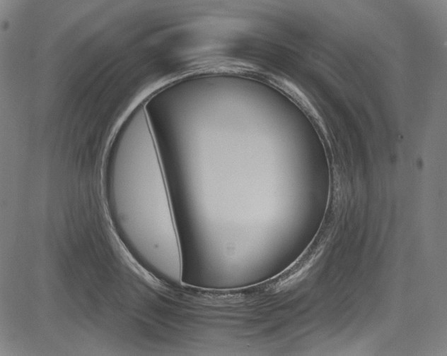 X0000085250843200703090945