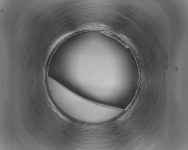 X0000085250846200703090945