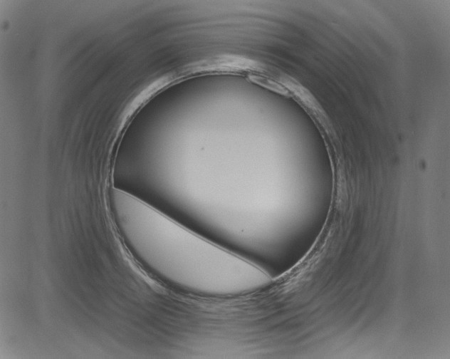 X0000085250850200703090946