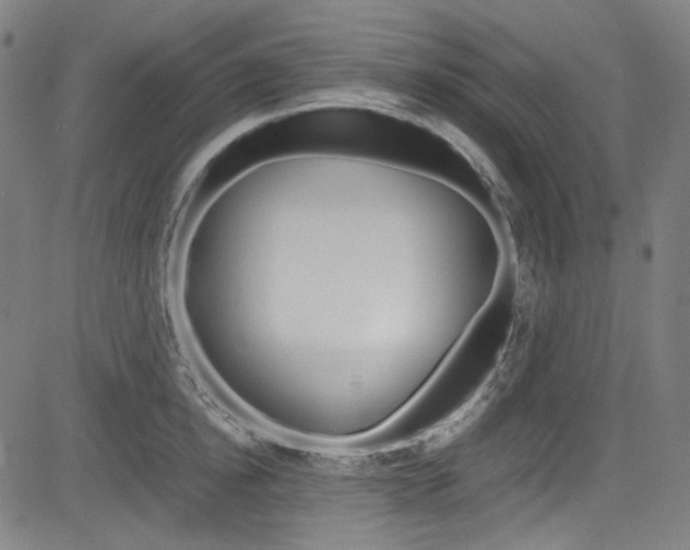 X0000085250854200703090946