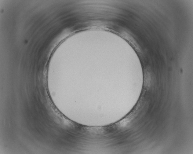 X0000085250856200703090946