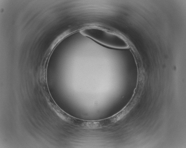 X0000085250858200703090946