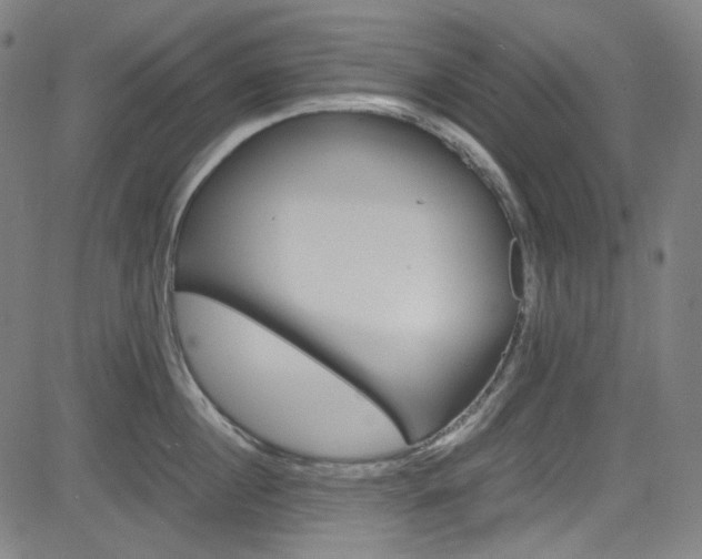 X0000085250860200703090946