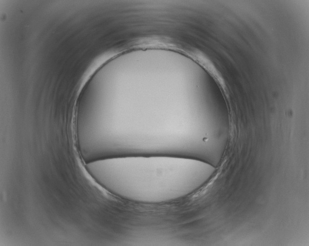 X0000085250863200703090946