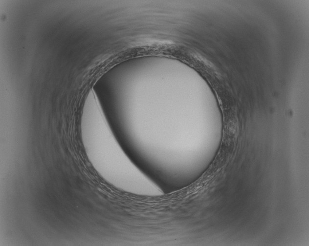 X0000085250869200703090945