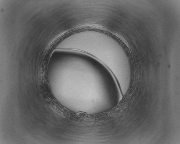X0000085250872200703090945