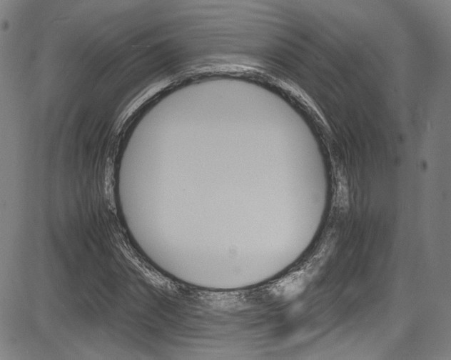 X0000085250874200703090945