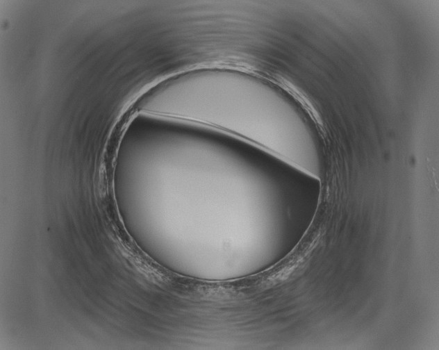 X0000085250876200703090945