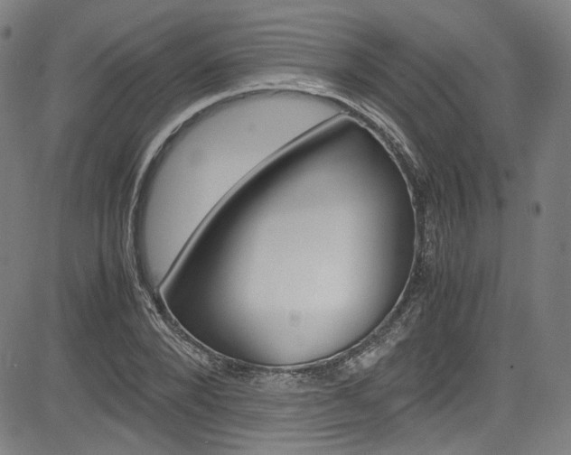 X0000085250880200703090945