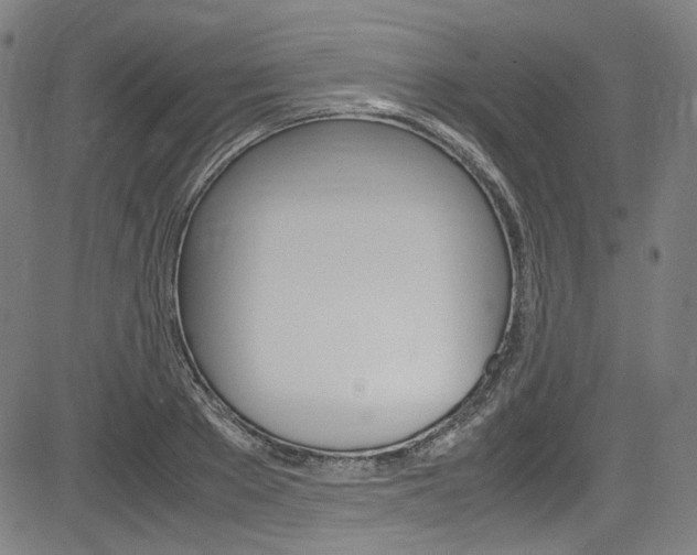 X0000085250889200703090945
