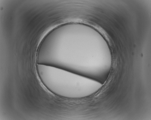 X0000085250903200703090944