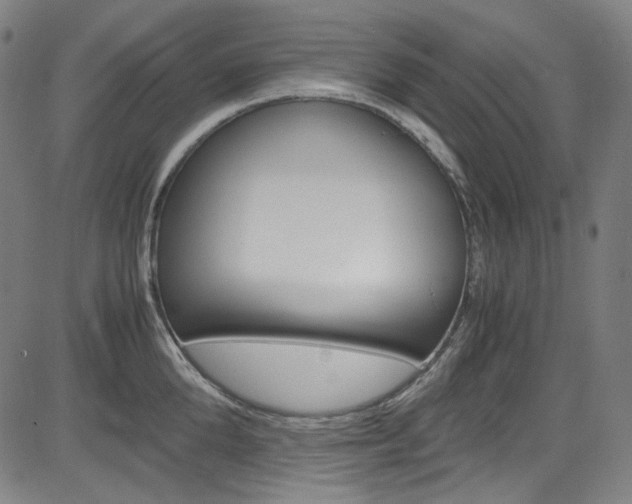 X0000085250904200703090944