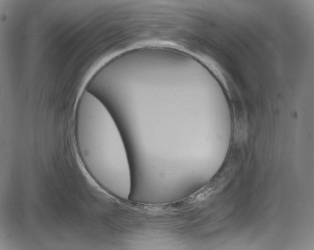 X0000085250911200703090944